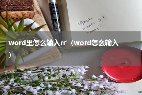 word里怎么输入㎡（word怎么输入）