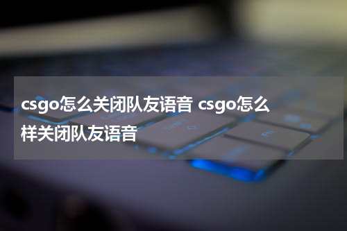 csgo怎么关闭队友语音 csgo怎么样关闭队友语音