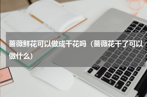 蔷薇鲜花可以做成干花吗（蔷薇花干了可以做什么）