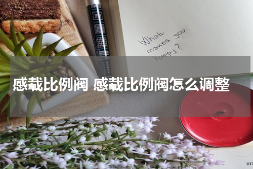 感载比例阀 感载比例阀怎么调整