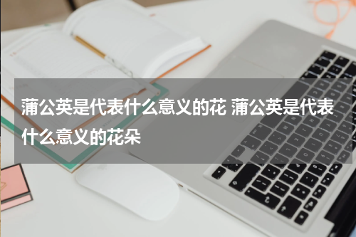 蒲公英是代表什么意义的花 蒲公英是代表什么意义的花朵