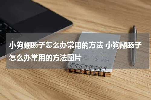 小狗翻肠子怎么办常用的方法 小狗翻肠子怎么办常用的方法图片