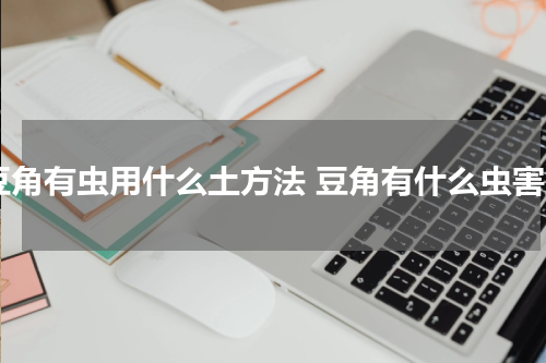 豆角有虫用什么土方法 豆角有什么虫害