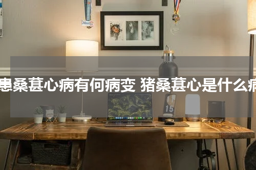 猪患桑葚心病有何病变 猪桑葚心是什么病