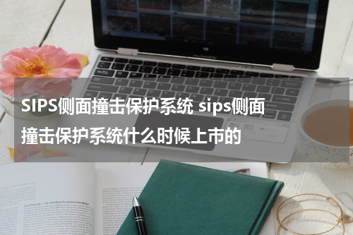 SIPS侧面撞击保护系统 sips侧面撞击保护系统什么时候上市的
