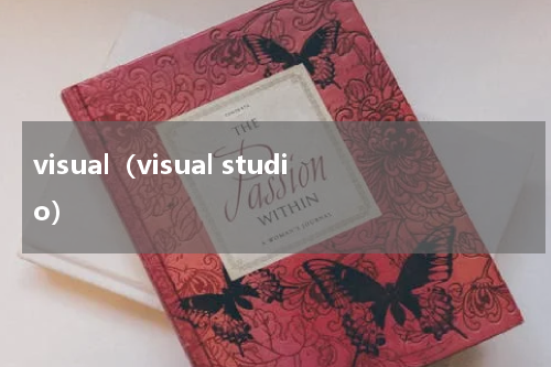 visual（visual studio）