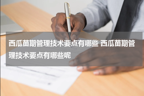 西瓜苗期管理技术要点有哪些 西瓜苗期管理技术要点有哪些呢