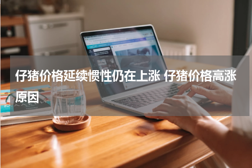 仔猪价格延续惯性仍在上涨 仔猪价格高涨原因