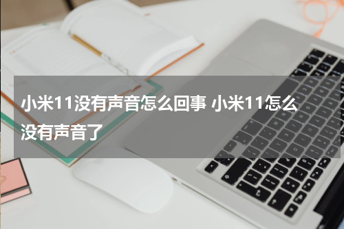小米11没有声音怎么回事 小米11怎么没有声音了
