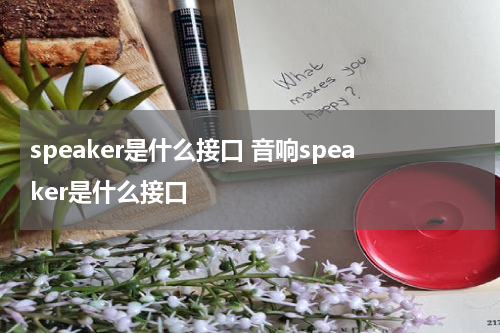 speaker是什么接口 音响speaker是什么接口