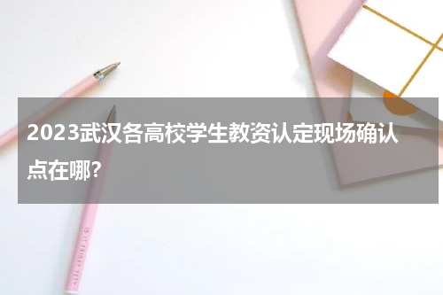 2023武汉各高校学生教资认定现场确认点在哪？