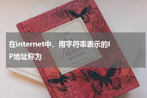 在internet中，用字符串表示的IP地址称为
